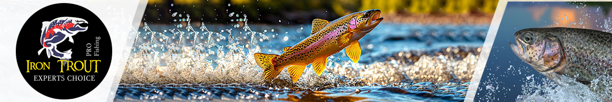 Iron Trout