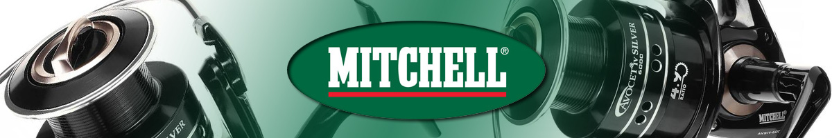 Mitchell Avocet Silver 4 FD