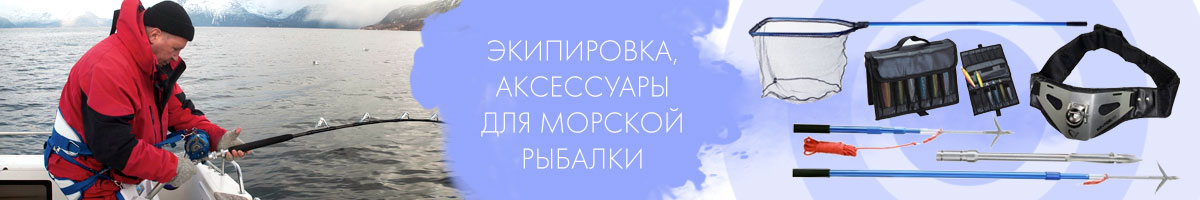 Экипировка/Аксессуары 