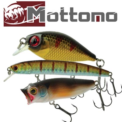 Mottomo