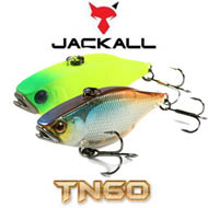 Jackall TN60