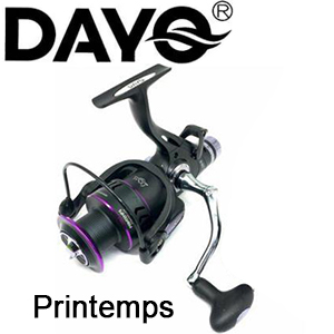 Dayo Printemps