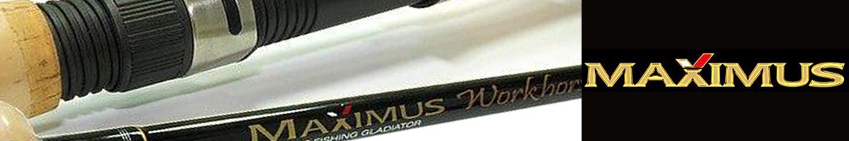 Maximus Workhorse