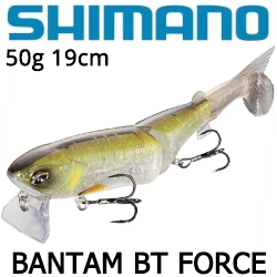 Shimano Bantam BT Force ZT-119Q