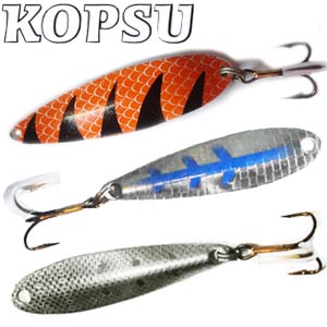 Kopsu