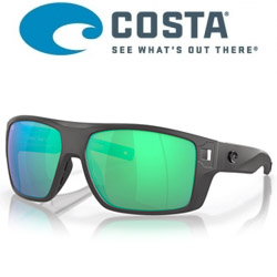Costa Diego 580P (Matte Gray/Green Mirror 580P)