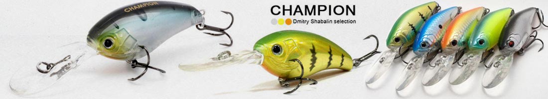 Champion 8042 CC 56MR