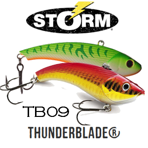 Storm ThunderBlade TB09