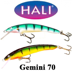 Hali Gemini 70