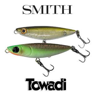Smith Towadi