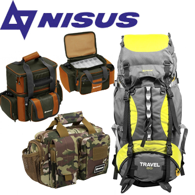 Nisus