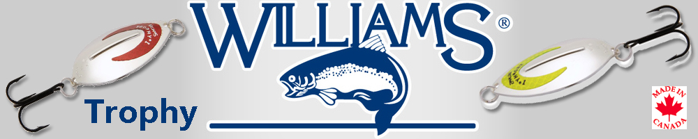 Блесна Williams Trophy 