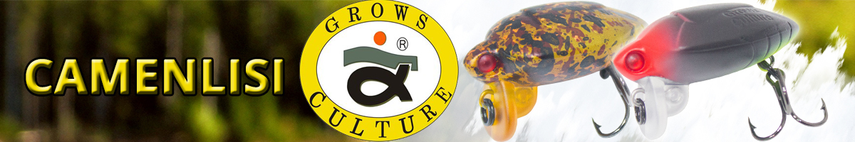 Grows Culture Camenlisi 31