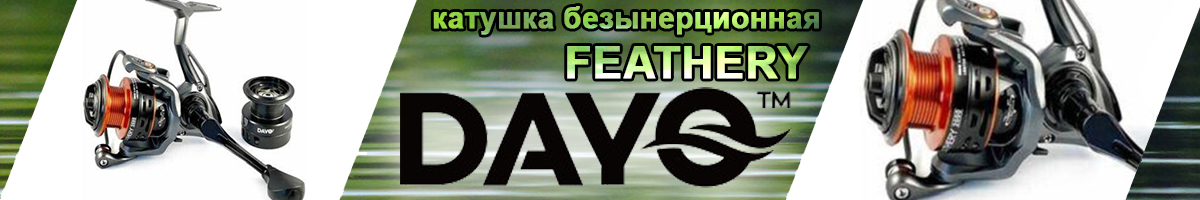 Dayo Feathery