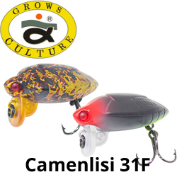 Grows Culture Camenlisi 31