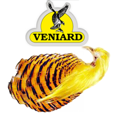 Veniard Golden Pheasant