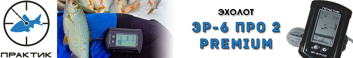 Практик ЭР-6 Про 2 Premium