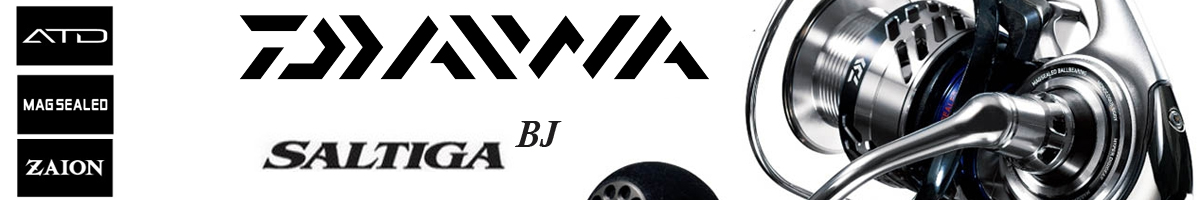 Daiwa 17 Saltiga BJ