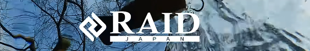 RAID