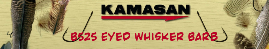 Kamasan B525 Eyed Whisker Barb