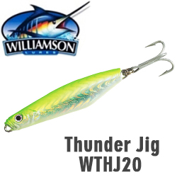 Williamson Thunder Jig 85мм 20гр. WTHJ20