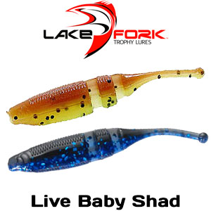 Lake Fork Live Baby Shad