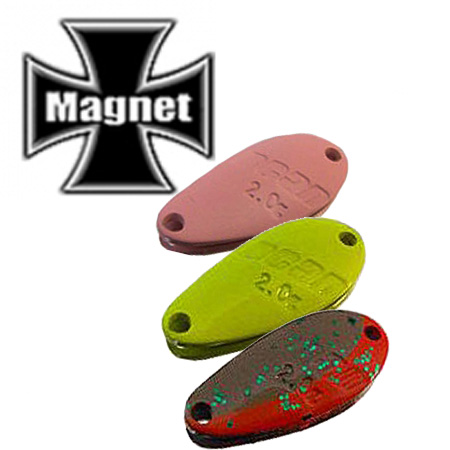 Magnet