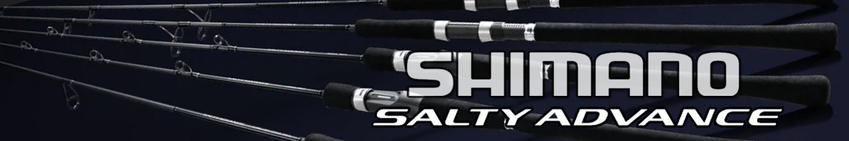 Shimano 19 Salty Advance MEBARU