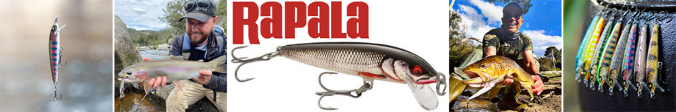 Rapala Floater Elite 120 10гр. (FE120)