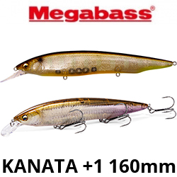 Megabass Kanata +1