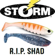 Storm R.I.P. Shad RSD08