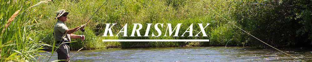 Karismax