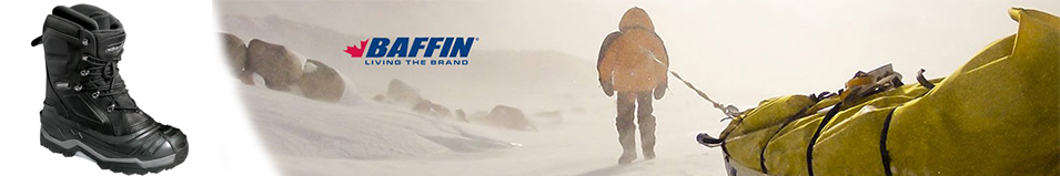 Baffin Evolution