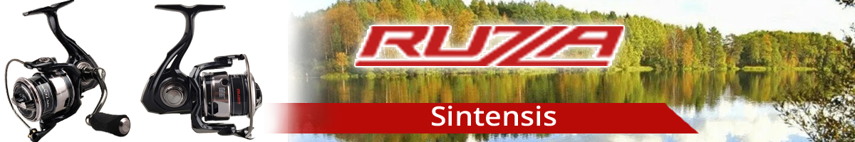 Ruzza Sintensis