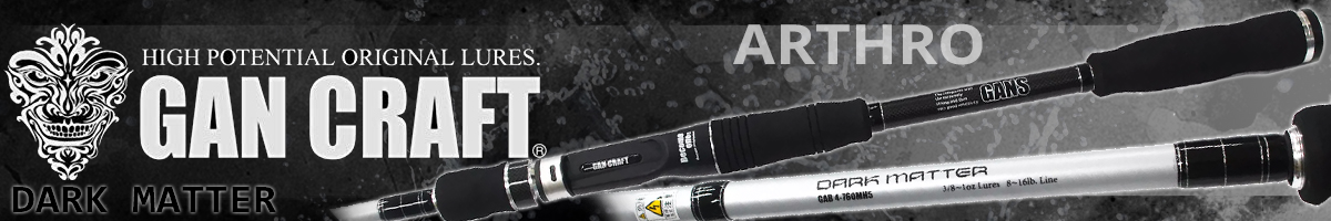 Gan Craft Arthro Dark Matter