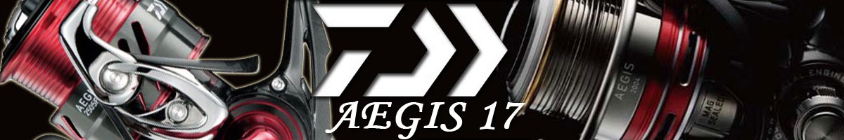 Daiwa 17 Aegis