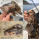Грузила Daiwa 2WAY Sinker 7G