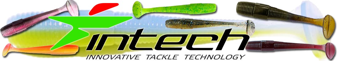 Intech Long Heel 4
