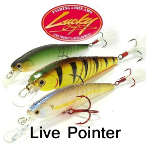 Lucky Craft Live Pointer