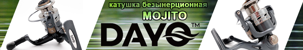 Dayo Mojito