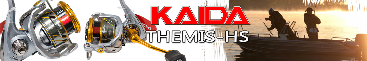 Kaida THE-HS