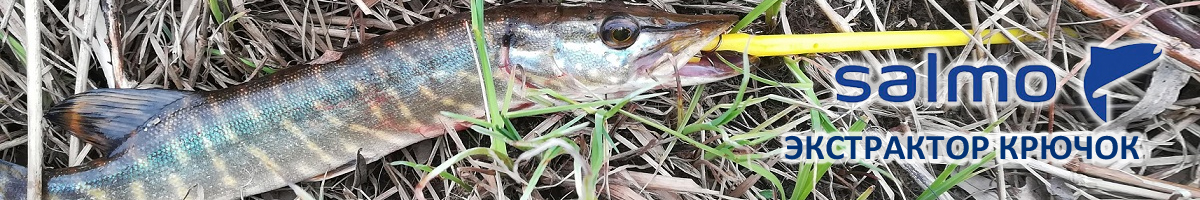 Salmo Экстрактор крючок