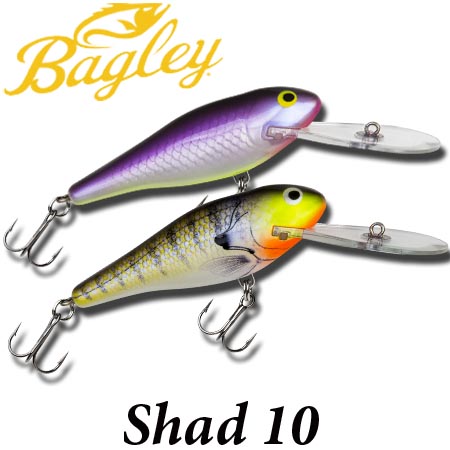 Bagley Deep Diving Shad 10