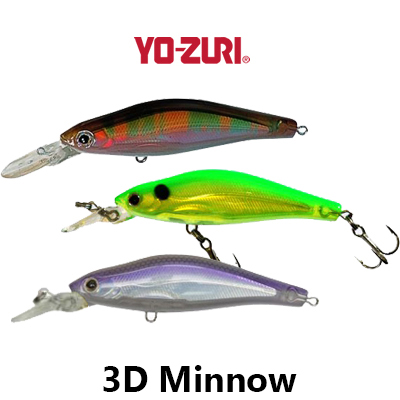 Yo-Zuri 3D Minnow 100SP F621