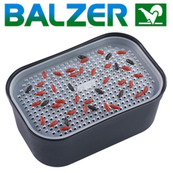 Balzer Feeder Master Zammataro System Caster