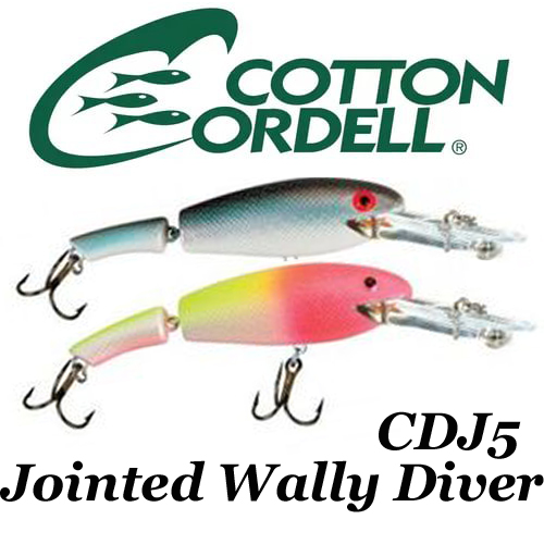 Cotton Cordell Jointed Wally Diver CDJ5