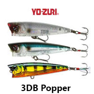 Yo-Zuri 3DB Popper R1101