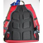 Рюкзак Woodland Vector 23L (красный/вишня)