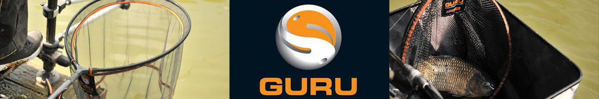 Guru Landing net Speed
