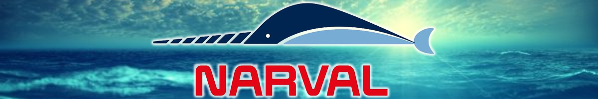 Narval